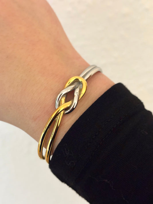 Ari Bangle