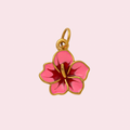 Aloha Charm