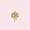 Oasis Charm
