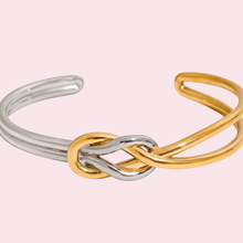 Ari Bangle