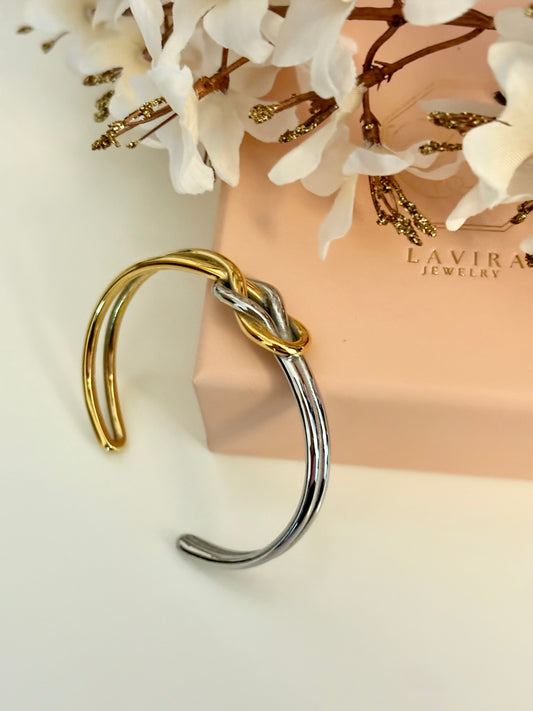 Ari Bangle